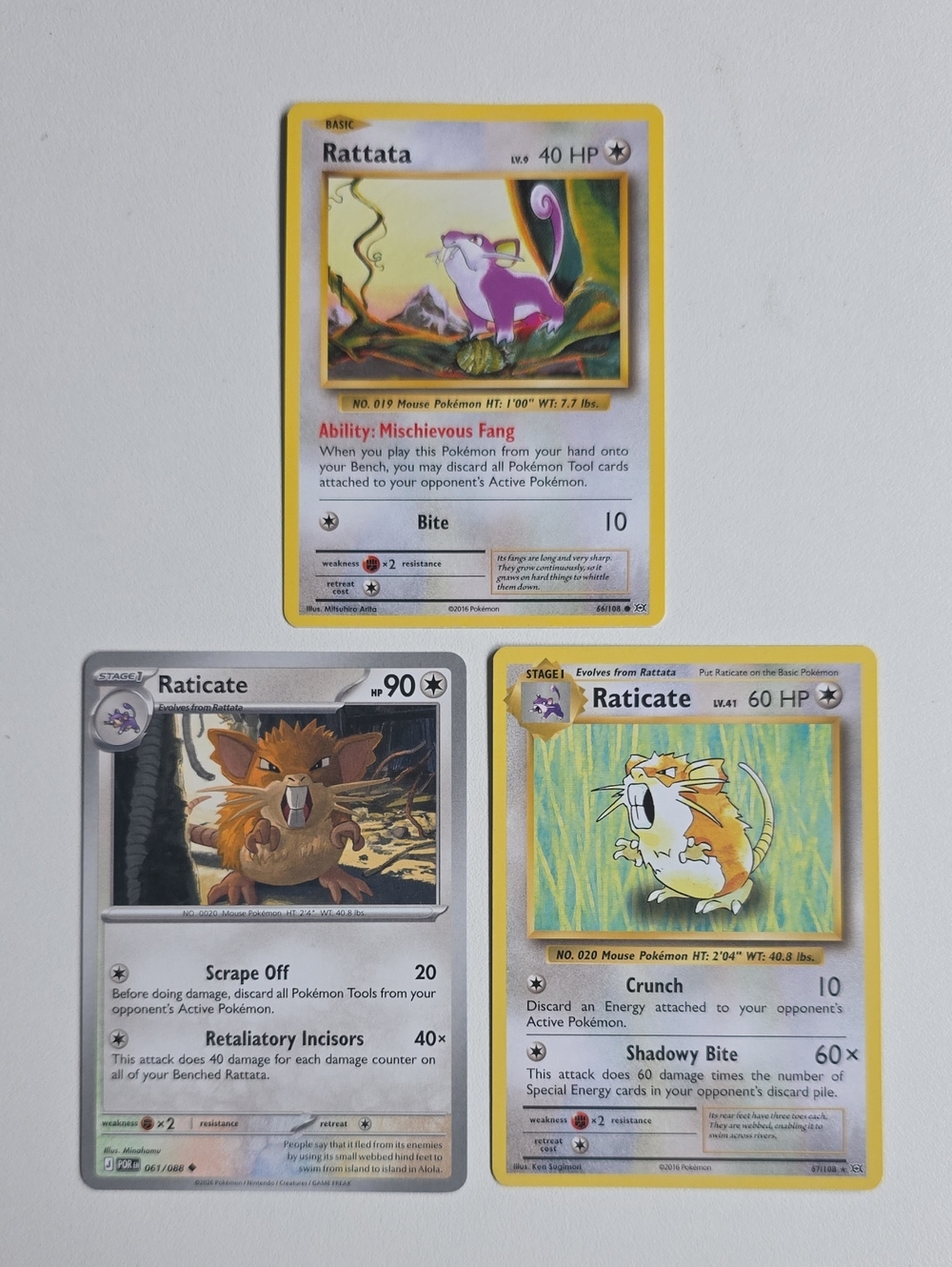 Pokemon Rattata And Raticate Card